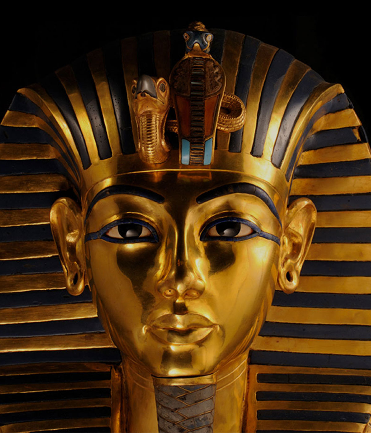 Beyond King Tut: The Immersive Experience